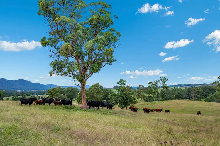 Third view of Homely rural property listing, 2411 The Bucketts Way, Wards River NSW 2422