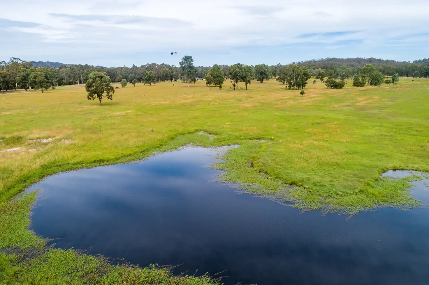 Main view of Homely rural property listing, 90 Wallarobba-Brookfield Road, Brookfield Via, Clarence Town NSW 2321