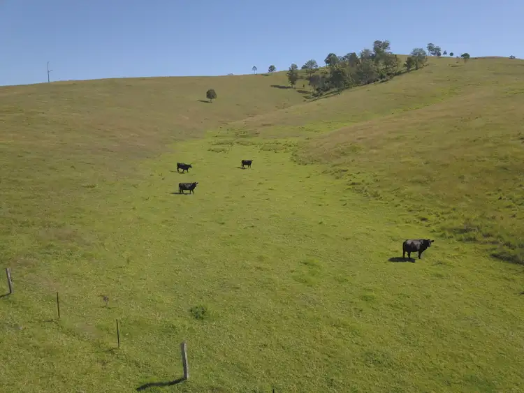 Third view of Homely rural property listing, 315 Chichester Dam Road, Dungog NSW 2420
