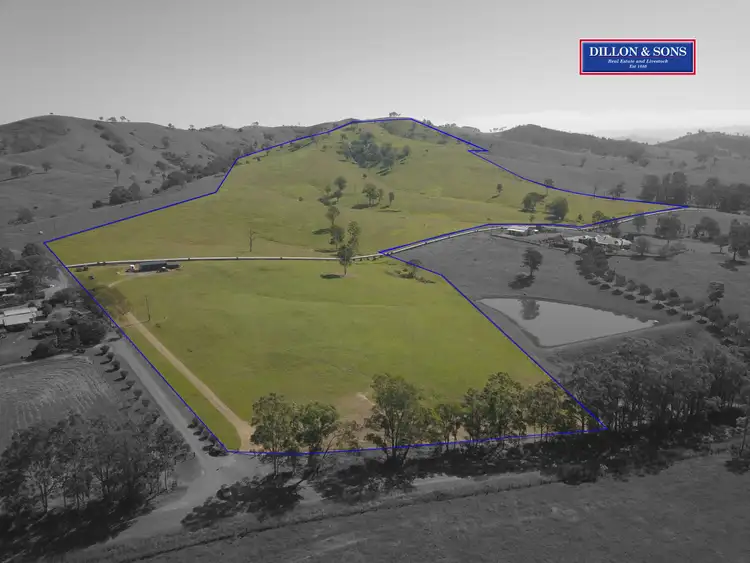 Sixth view of Homely rural property listing, 315 Chichester Dam Road, Dungog NSW 2420