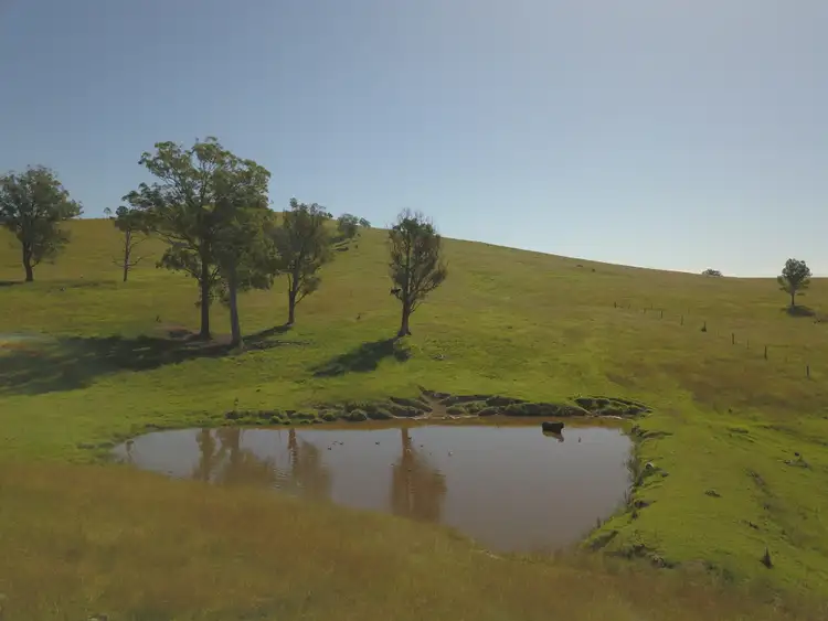 Seventh view of Homely rural property listing, 315 Chichester Dam Road, Dungog NSW 2420
