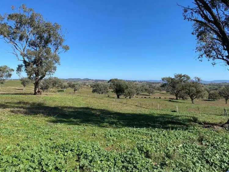 Fifth view of Homely land listing, 81 Railway Street, Wellington NSW 2820