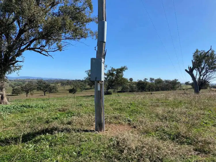 Seventh view of Homely land listing, 81 Railway Street, Wellington NSW 2820