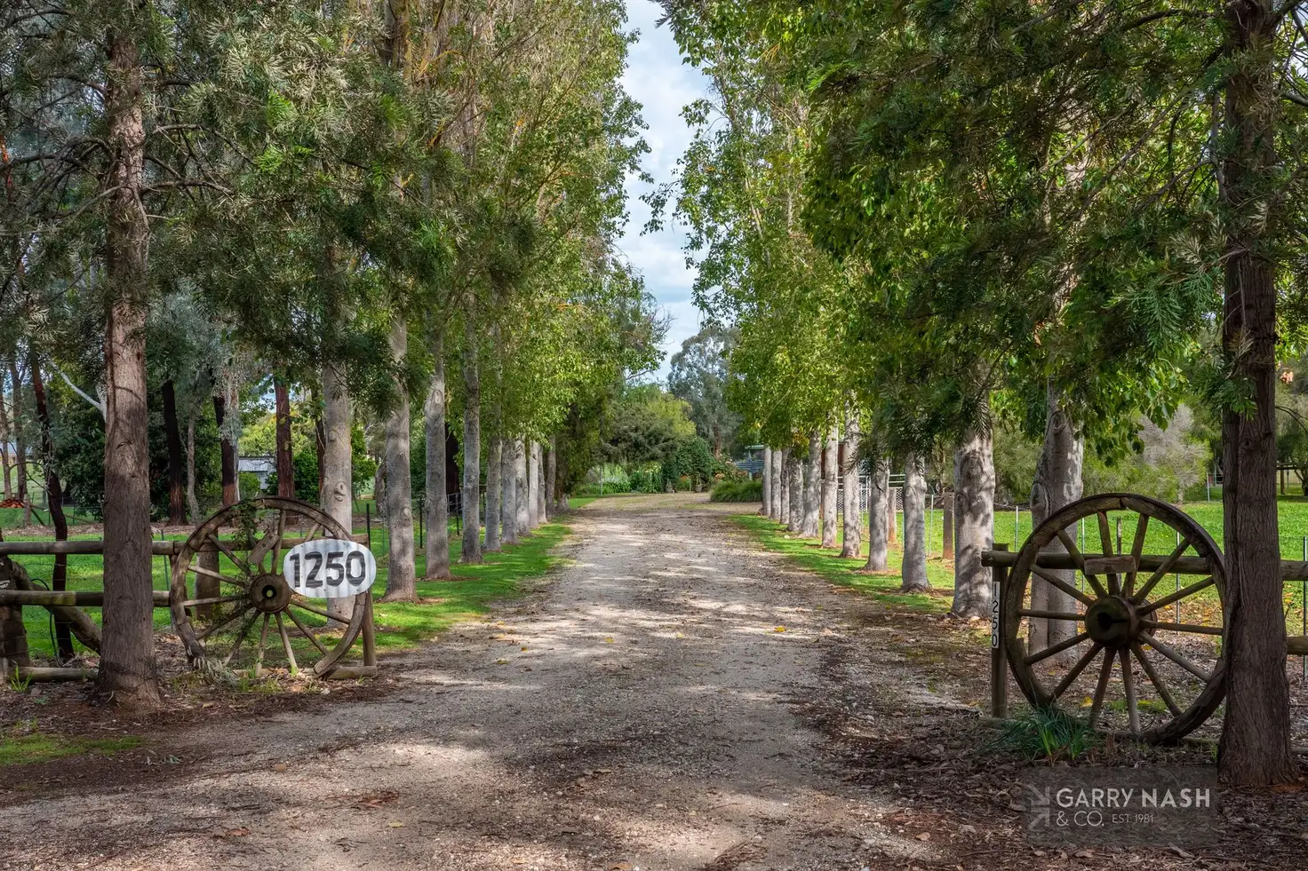 Main view of Homely rural property listing, 1250 Great Alpine Road, Tarrawingee VIC 3678