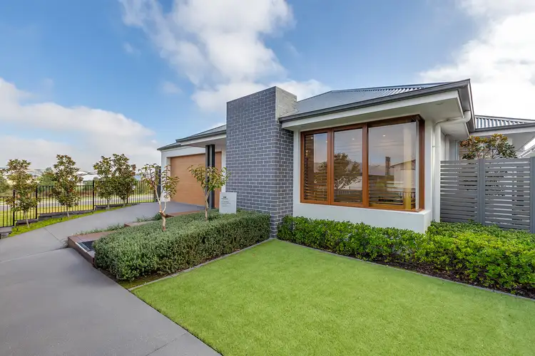 Main view of Homely house listing, 3 Longtail Street, Chisholm NSW 2322