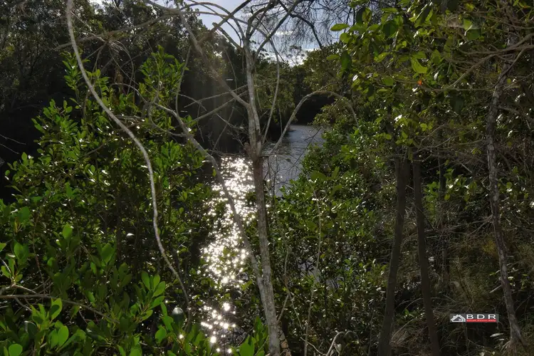 80 Pacific Haven Cct, Pacific Haven QLD 4659