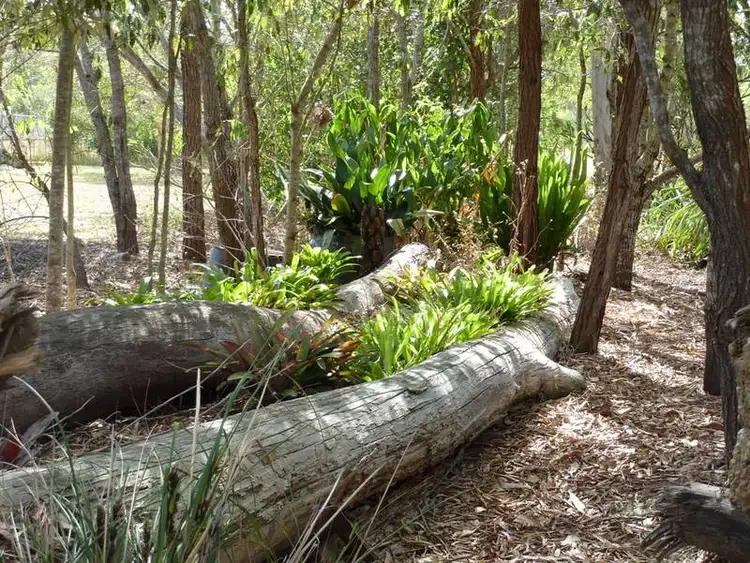 Sixth view of Homely house listing, 25 Todd Street, Torbanlea QLD 4662