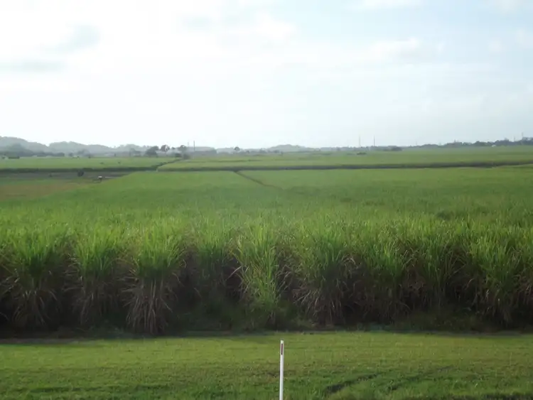 Seventh view of Homely rural property listing, 6 Robertson Road, Balnagowan QLD 4740