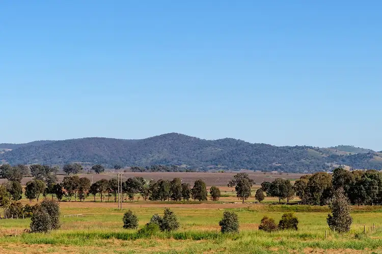 Main view of Homely rural property listing, 2391 Castlereagh Highway, Gulgong NSW 2852