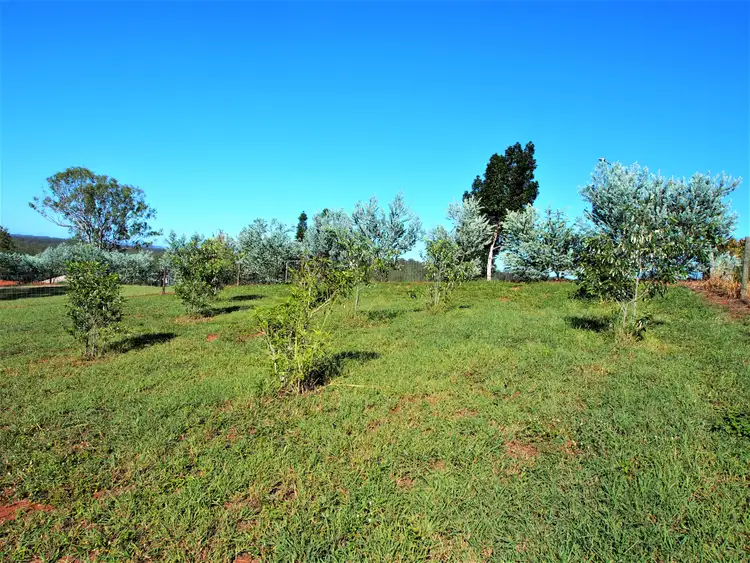 Seventh view of Homely rural property listing, 16 Sanctuary Court, Apple Tree Creek QLD 4660