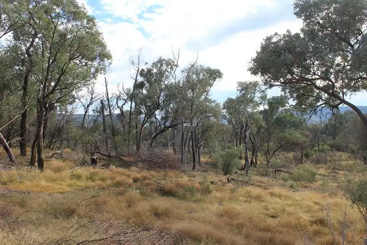 Fifth view of Homely rural property listing, Lot 81 New England Highway, Wyberba QLD 4382