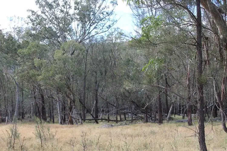 Sixth view of Homely rural property listing, Lot 81 New England Highway, Wyberba QLD 4382