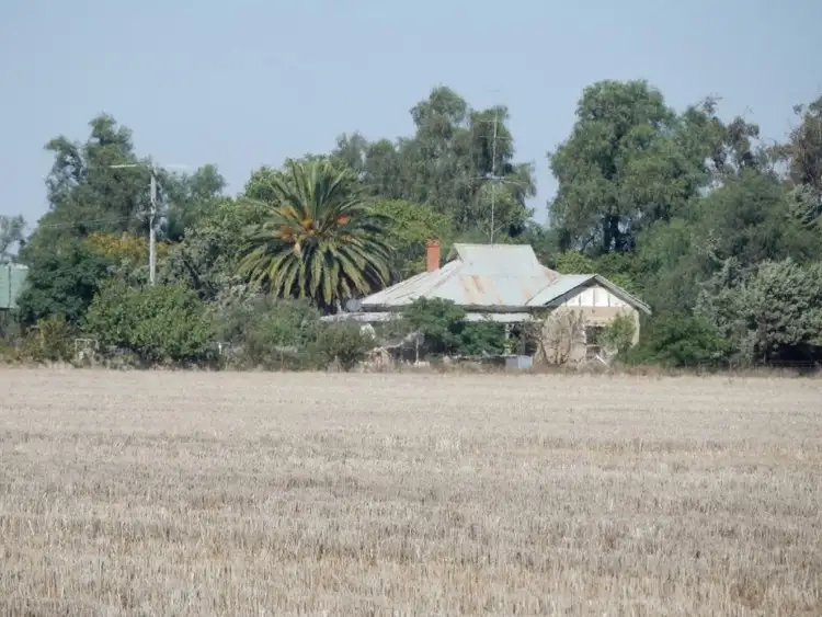 Fourth view of Homely rural property listing, 2791 Sturt Highway Collingullie via Wagga Wagga, Wagga Wagga NSW 2650
