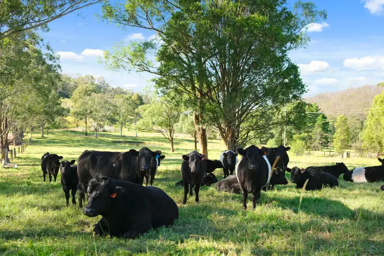 Second view of Homely rural property listing, Lot 2 Ebsworth Road, Clarence Town NSW 2321