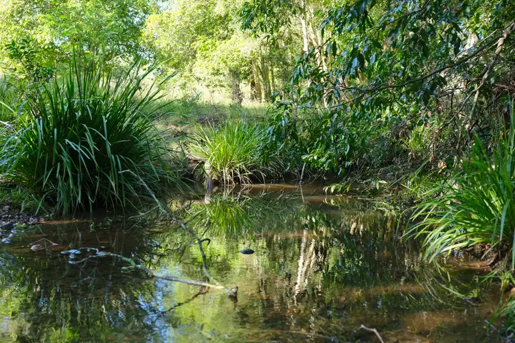 Third view of Homely rural property listing, Lot 2 Ebsworth Road, Clarence Town NSW 2321