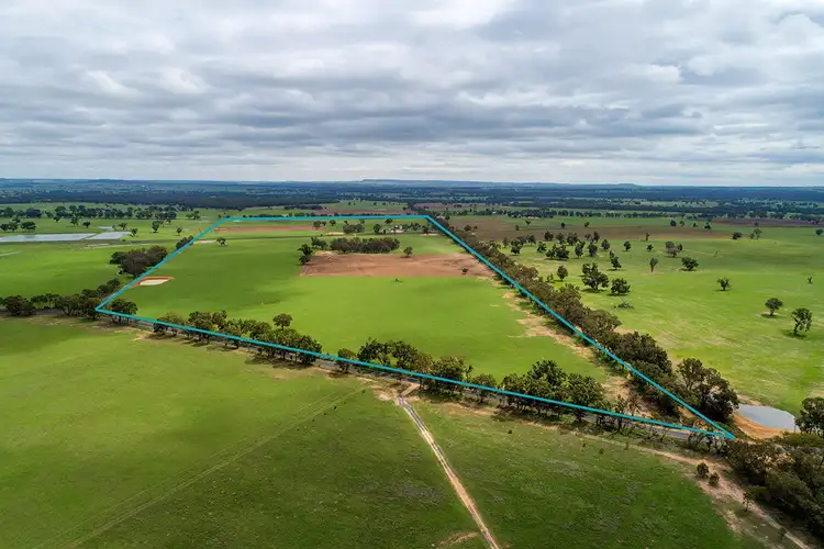 Third view of Homely rural property listing, 110 Whitehouse Road, Gulgong NSW 2852