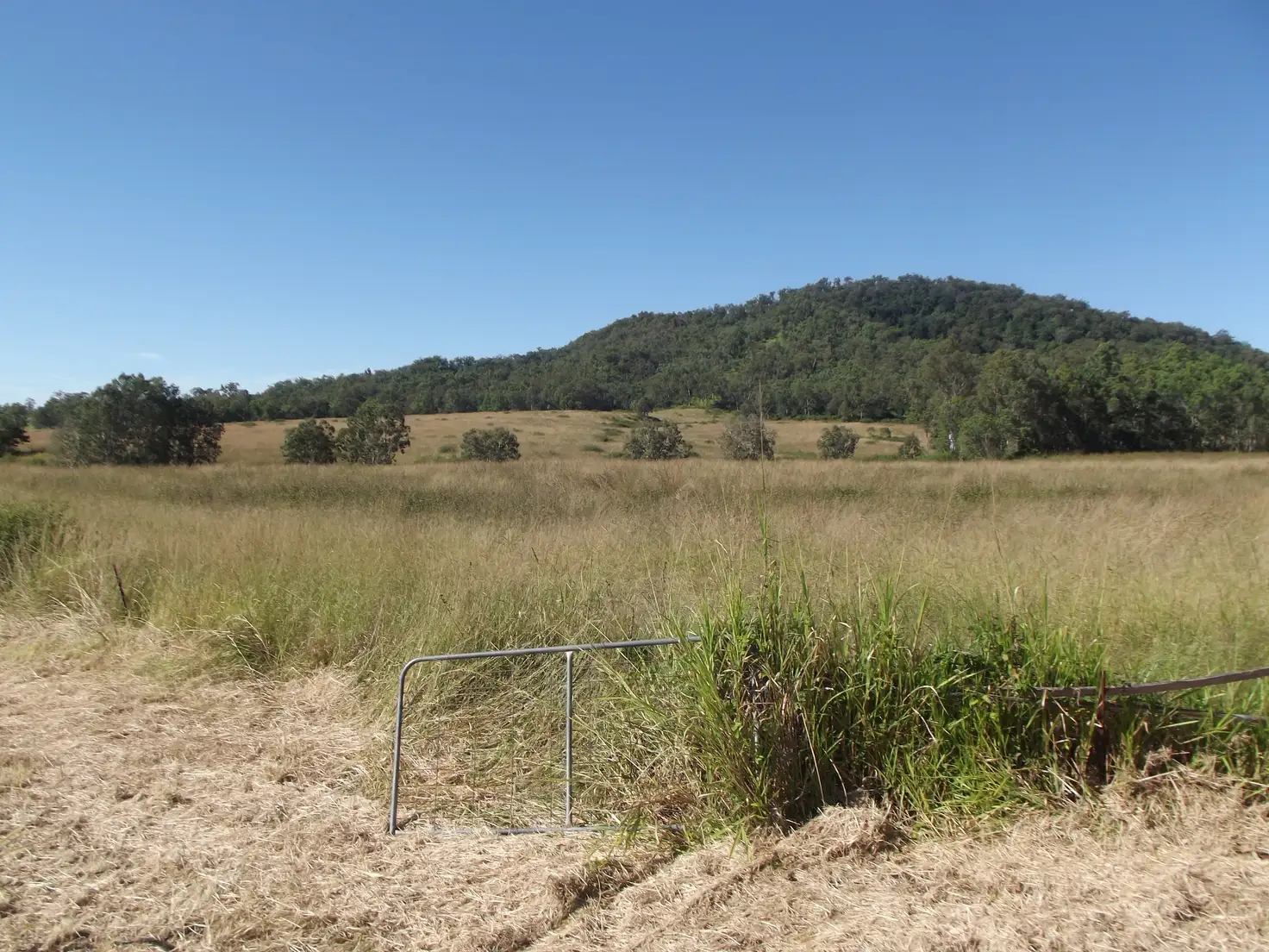 Main view of Homely rural property listing, Address available on request