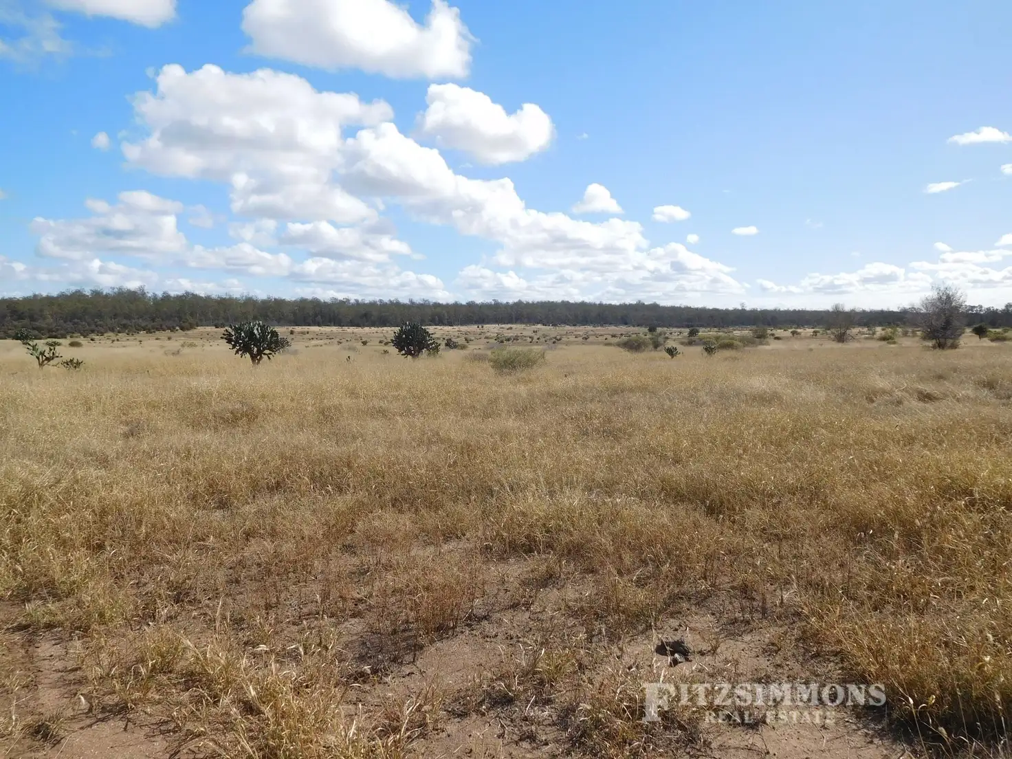 Main view of Homely rural property listing, Lot 39 Beelbee Road via Kogan, Dalby QLD 4405