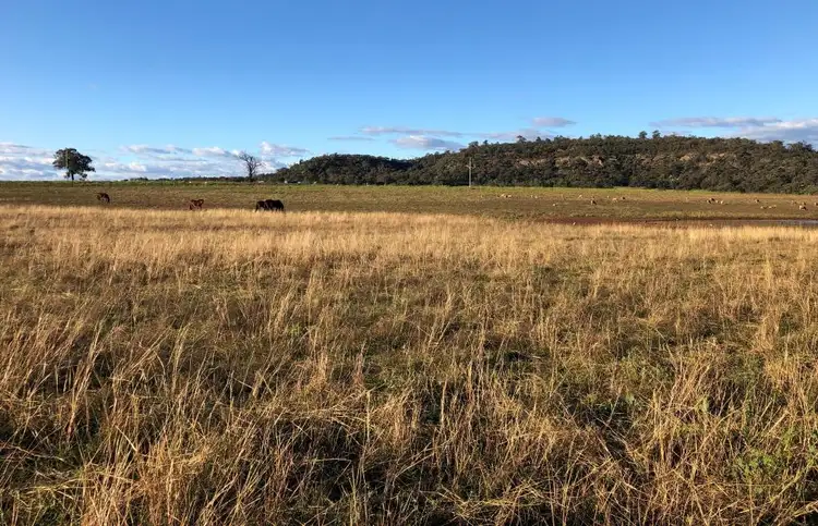 Second view of Homely land listing, 1089 Cullingral Road, Merriwa NSW 2329