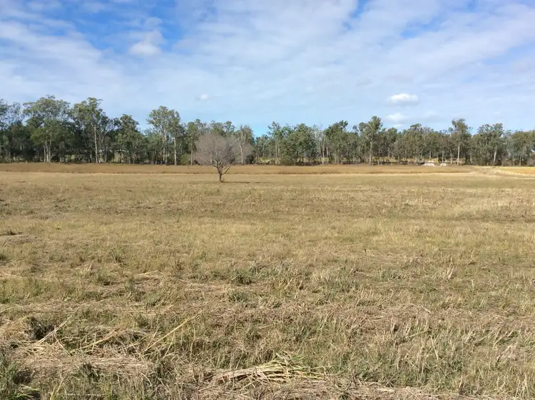 Main view of Homely rural property listing, 166 Sarnadsky Road, Bucca QLD 4670