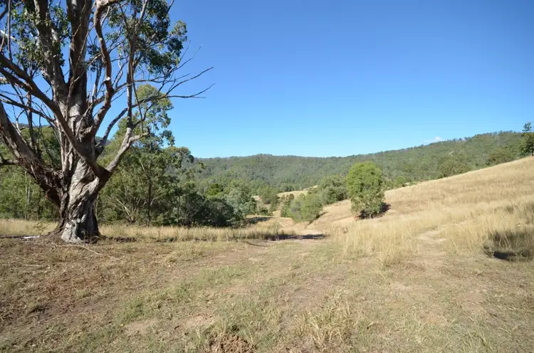 Seventh view of Homely house listing, 525 Biddaddaba Creek Road, Biddaddaba QLD 4275