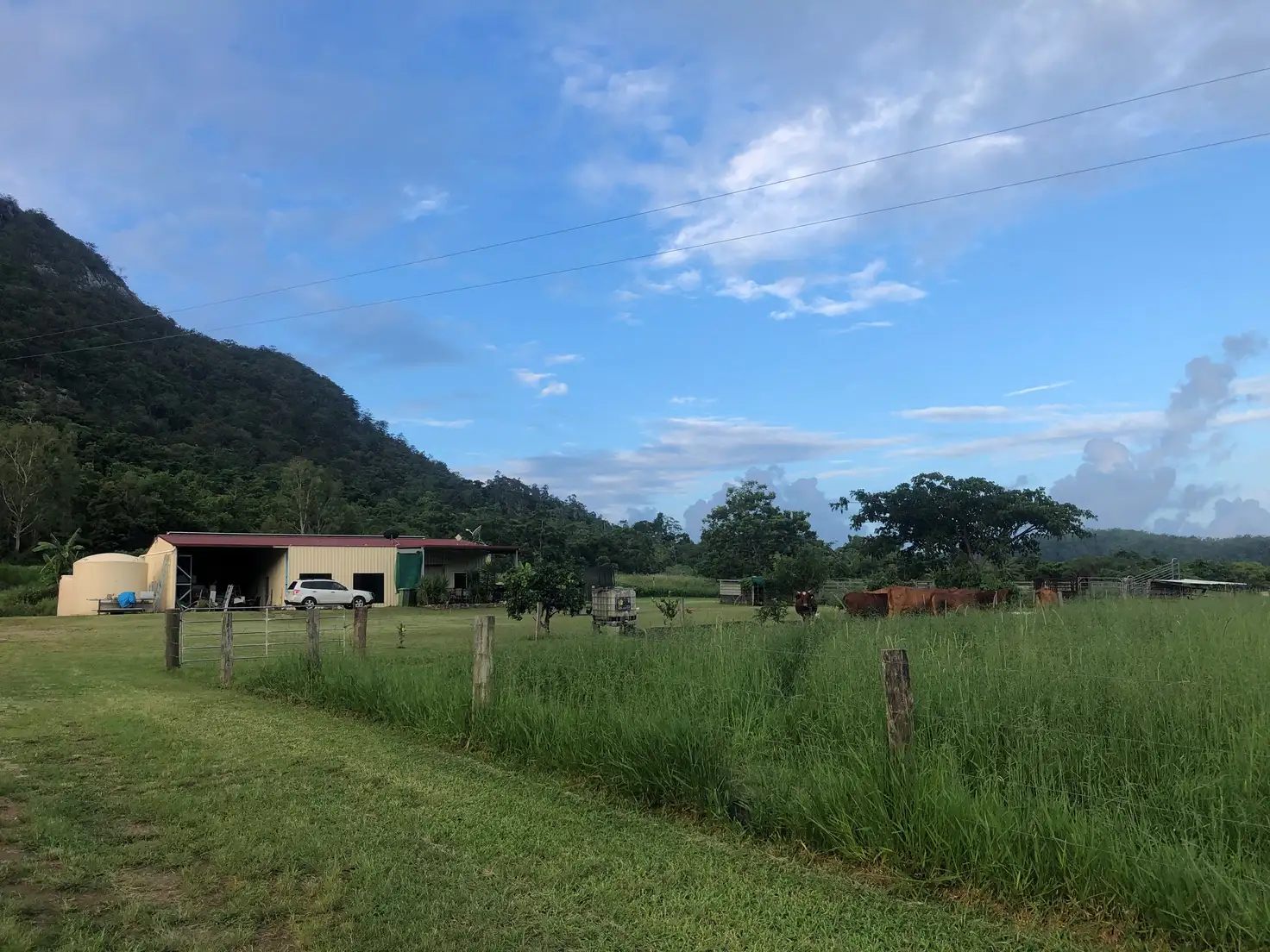 Main view of Homely rural property listing, Address available on request