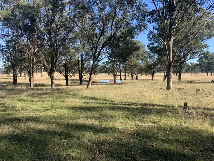 Fifth view of Homely land listing, Lot 1 DP 506025 Muscle Creek Road, Muscle Creek NSW 2333