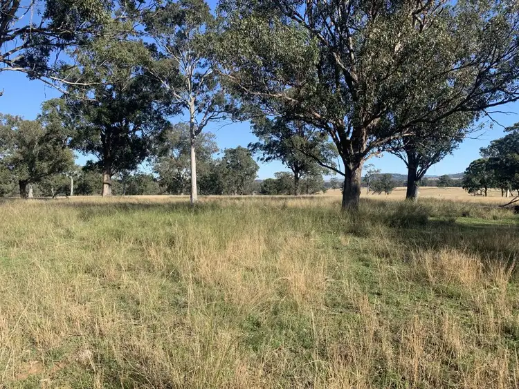 Sixth view of Homely land listing, Lot 1 DP 506025 Muscle Creek Road, Muscle Creek NSW 2333