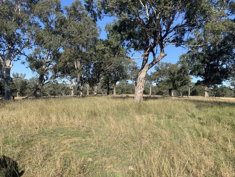 Seventh view of Homely land listing, Lot 1 DP 506025 Muscle Creek Road, Muscle Creek NSW 2333