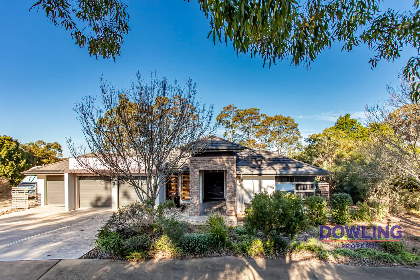 Main view of Homely house listing, 3 PINEHURST WAY, Medowie NSW 2318