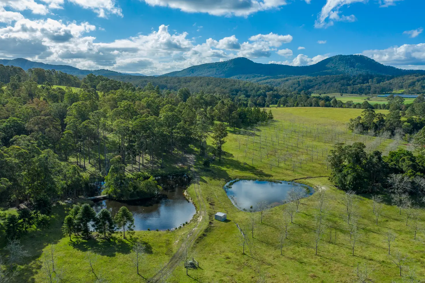 Main view of Homely rural property listing, 1450 Booral Road, Girvan NSW 2425