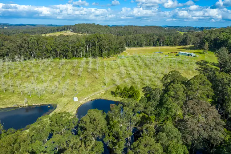 Second view of Homely rural property listing, 1450 Booral Road, Girvan NSW 2425