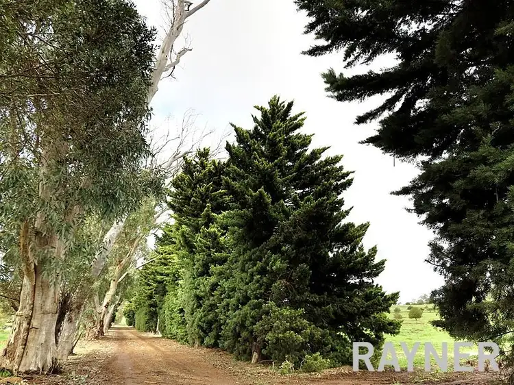 Sixth view of Homely house listing, 56 Kay Road, Bindoon WA 6502