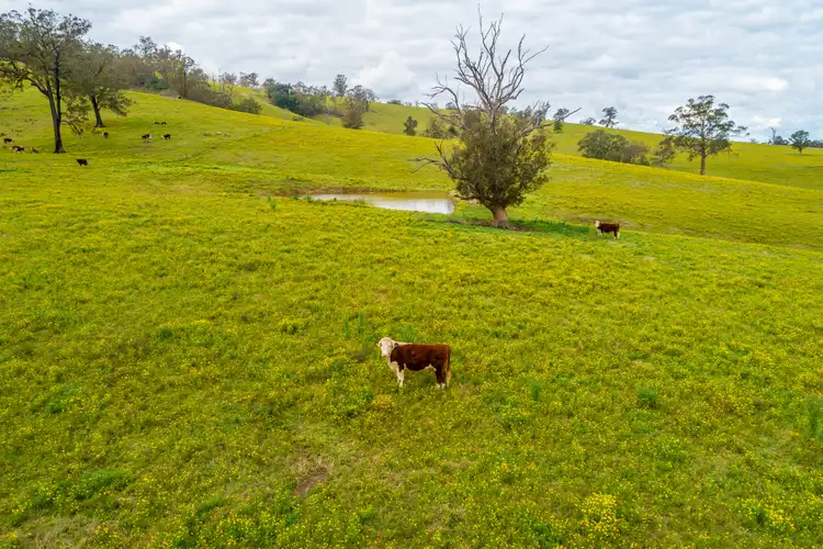 Sixth view of Homely rural property listing, 708 - 710 Allyn River Road, Allynbrook Via, East Gresford NSW 2311