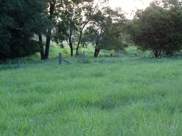 Third view of Homely house listing, 4866 Mackay-Eungella Road, Finch Hatton QLD 4756