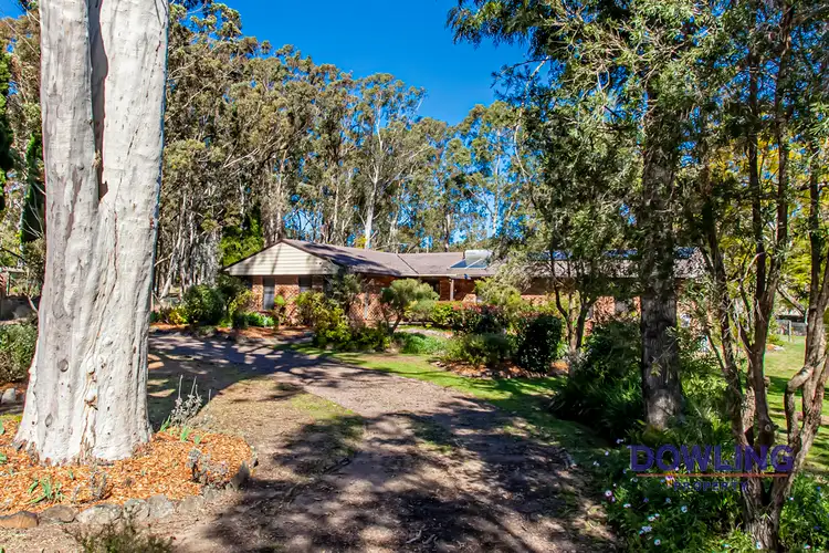 25 LEWIS DRIVE, Medowie NSW 2318