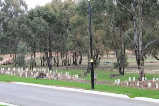 Third view of Homely land listing, LOT 42 McIvor Forest - Downing Drive, Junortoun VIC 3551