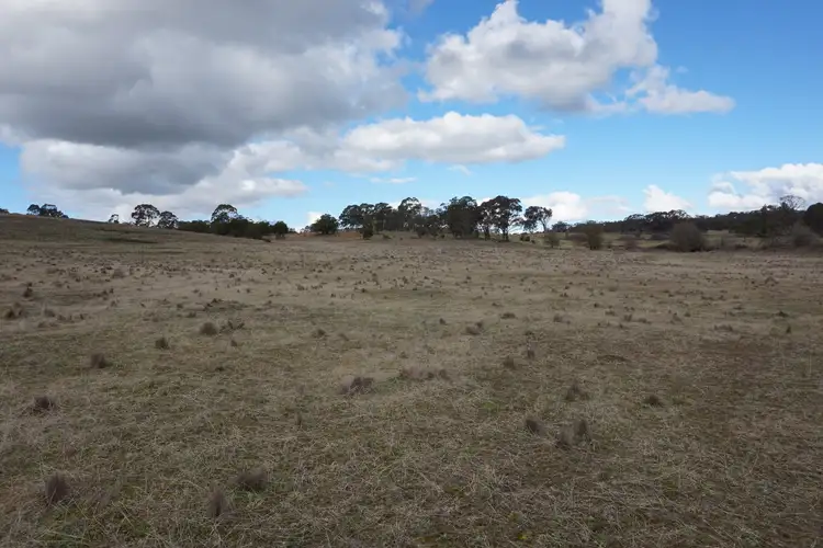 Fourth view of Homely rural property listing, Lot 65, 980 Range Road, Goulburn NSW 2580