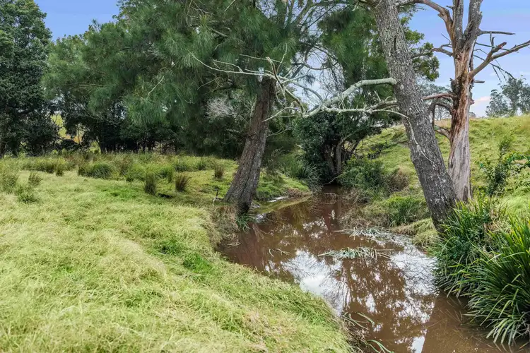 Fourth view of Homely rural property listing, 42 Welshmans Creek Road, Wallarobba NSW 2420