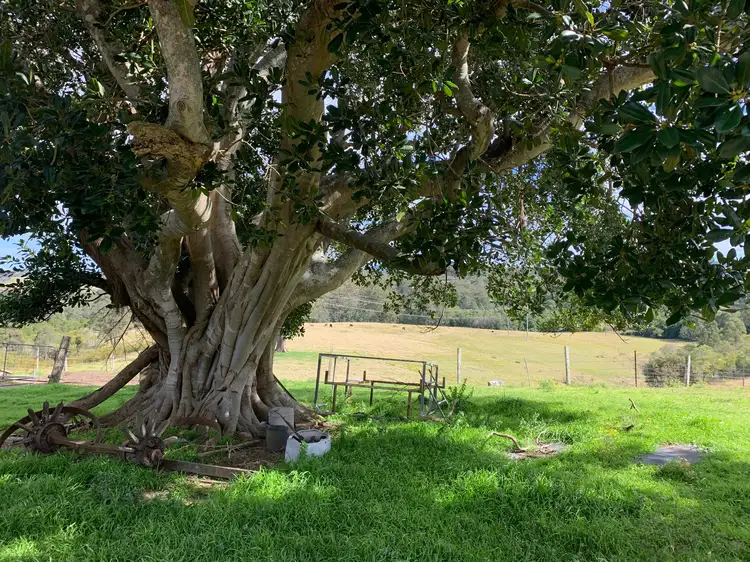 Fourth view of Homely rural property listing, 36 Greys Lane GIRVAN Via, Stroud NSW 2425