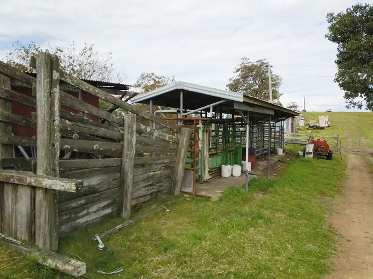 Seventh view of Homely rural property listing, 36 Greys Lane GIRVAN Via, Stroud NSW 2425