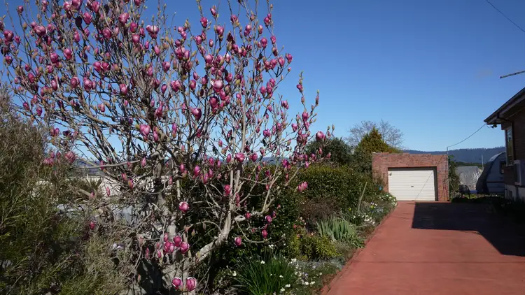 Fourth view of Homely house listing, 1 Mary Street, Scottsdale TAS 7260