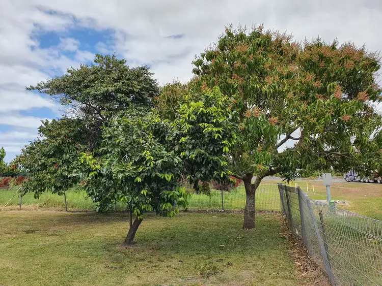 Fourth view of Homely house listing, 311 Broadsound, Paget QLD 4740