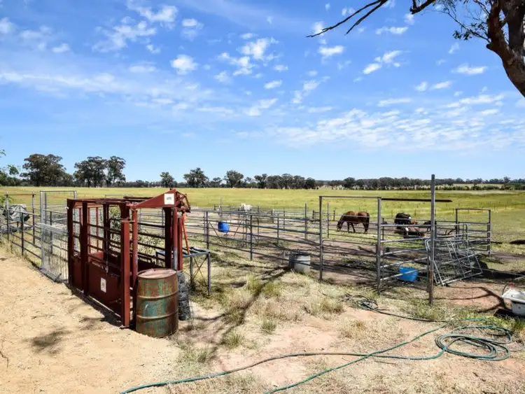 Fifth view of Homely rural property listing, 1945 Wangaratta Yarrawonga Road, Peechelba VIC 3678