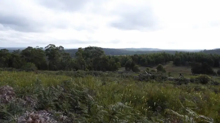 Sixth view of Homely land listing, * Barnbougle Road, North Scottsdale TAS 7260
