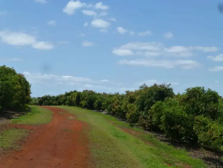Fourth view of Homely rural property listing, 40 AVOCADO DRIVE, Childers QLD 4660