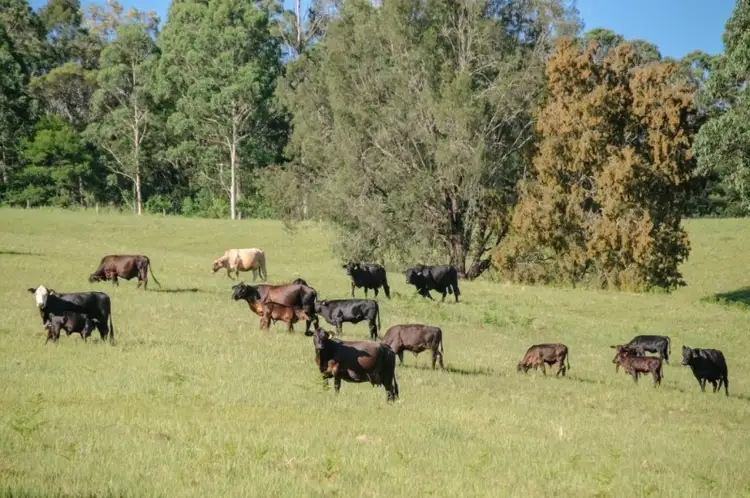 Fifth view of Homely land listing, 86 Nelsons Road, Dungog NSW 2420
