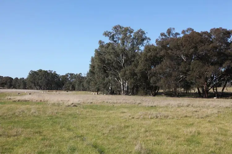 Second view of Homely land listing, LOT 1 Lynch Lane, Longlea VIC 3551