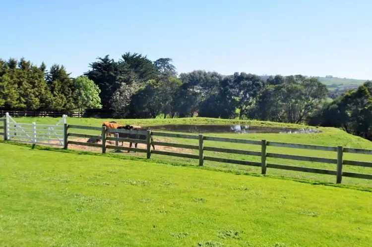 Fourth view of Homely house listing, 375 Glen Forbes Road, Archies Creek VIC 3995