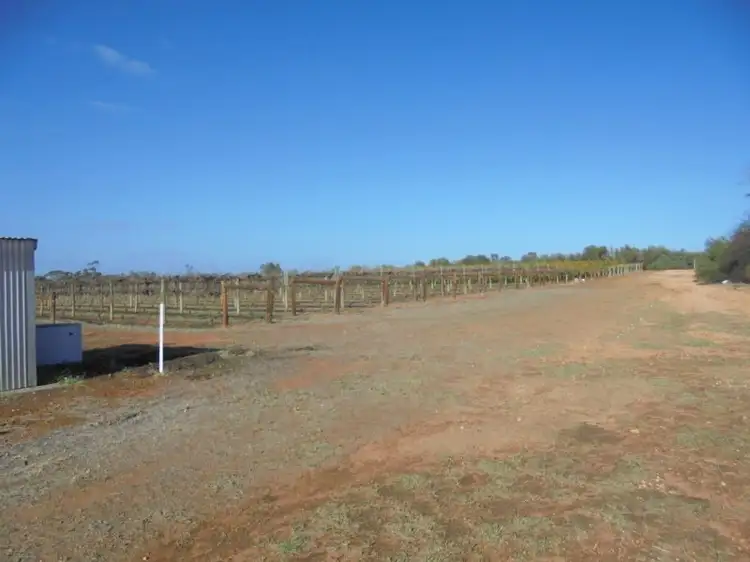Fourth view of Homely rural property listing, 59B Murray Valley Highway, Robinvale VIC 3549